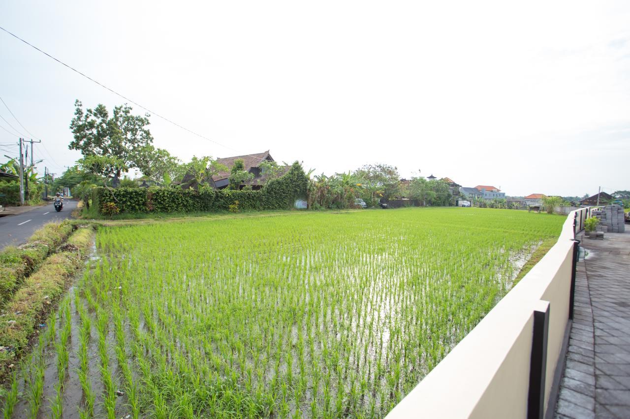V Canggu Dormitory Екстериор снимка
